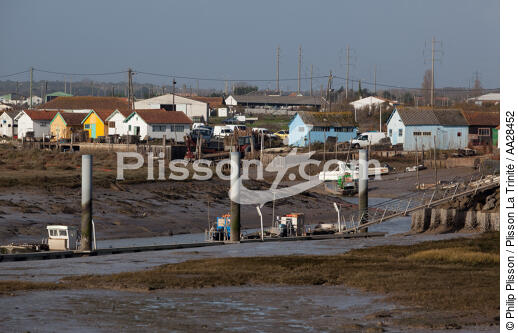 Ors , île d'Oléron - © Philip Plisson / Plisson La Trinité / AA28452 - Nos reportages photos - Marée basse