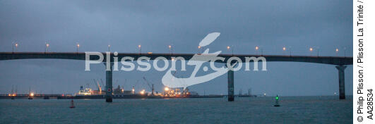 La Palice Port in la Rochelle - © Philip Plisson / Plisson La Trinité / AA28534 - Photo Galleries - Crane