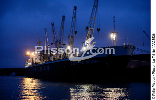 Port de la Palice a la Rochelle - © Philip Plisson / Plisson La Trinité / AA28536 - Nos reportages photos - Port