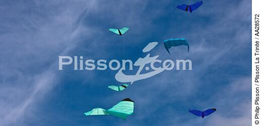 International Meetings of kites in Berck sur Mer [AT] - © Philip Plisson / Plisson La Trinité / AA28572 - Photo Galleries - Non-nautical sports