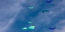 Rencontres Internationales de cerfs-volants à Berck sur Mer © Philip Plisson / Plisson La Trinité / AA28572 - Nos reportages photos - Ville [62]