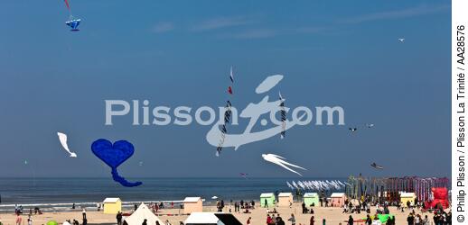 International Meetings of kites in Berck sur Mer [AT] - © Philip Plisson / Plisson La Trinité / AA28576 - Photo Galleries - Kite