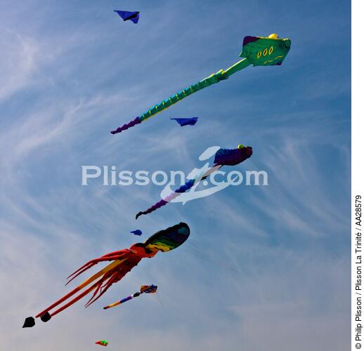 International Meetings of kites in Berck sur Mer [AT] - © Philip Plisson / Plisson La Trinité / AA28579 - Photo Galleries - Sport and Leisure