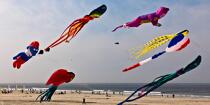 International Meetings of kites in Berck sur Mer [AT] © Philip Plisson / Plisson La Trinité / AA28586 - Photo Galleries - Nord-Pas-de-Calais