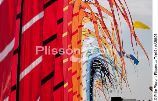 International Meetings of kites in Berck sur Mer [AT] - © Philip Plisson / Plisson La Trinité / AA28603 - Photo Galleries - Kite
