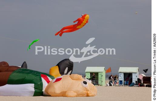 International Meetings of kites in Berck sur Mer [AT] - © Philip Plisson / Plisson La Trinité / AA28609 - Photo Galleries - Town [62]