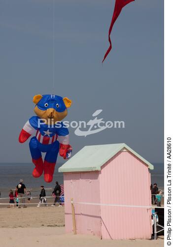 International Meetings of kites in Berck sur Mer [AT] - © Philip Plisson / Plisson La Trinité / AA28610 - Photo Galleries - International Meeting of Kite in Berck-sur-Mer.