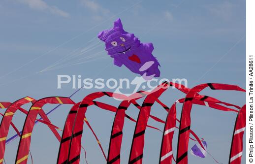International Meetings of kites in Berck sur Mer [AT] - © Philip Plisson / Plisson La Trinité / AA28611 - Photo Galleries - Pas de Calais