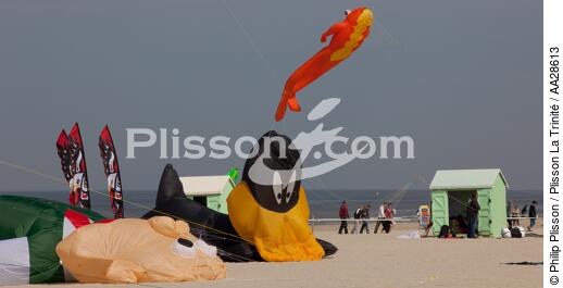 International Meetings of kites in Berck sur Mer [AT] - © Philip Plisson / Plisson La Trinité / AA28613 - Photo Galleries - Kite