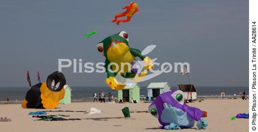 International Meetings of kites in Berck sur Mer [AT] - © Philip Plisson / Plisson La Trinité / AA28614 - Photo Galleries - Kite