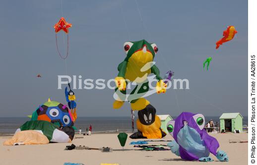 International Meetings of kites in Berck sur Mer [AT] - © Philip Plisson / Plisson La Trinité / AA28615 - Photo Galleries - International Meeting of Kite in Berck-sur-Mer.