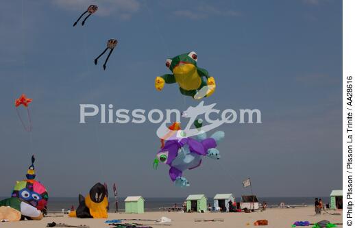 International Meetings of kites in Berck sur Mer [AT] - © Philip Plisson / Plisson La Trinité / AA28616 - Photo Galleries - Town [62]