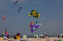 Rencontres Internationales de cerfs-volants à Berck sur Mer © Philip Plisson / Plisson La Trinité / AA28616 - Nos reportages photos - Sport et loisir