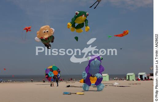 International Meetings of kites in Berck sur Mer [AT] - © Philip Plisson / Plisson La Trinité / AA28622 - Photo Galleries - Town [62]