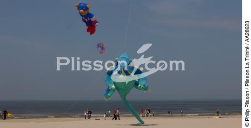 International Meetings of kites in Berck sur Mer [AT] - © Philip Plisson / Plisson La Trinité / AA28623 - Photo Galleries - Town [62]