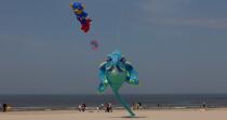 International Meetings of kites in Berck sur Mer [AT] © Philip Plisson / Plisson La Trinité / AA28623 - Photo Galleries - Pas de Calais