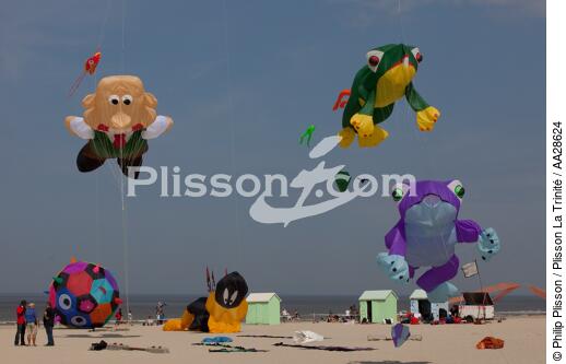 International Meetings of kites in Berck sur Mer [AT] - © Philip Plisson / Plisson La Trinité / AA28624 - Photo Galleries - Nord-Pas-de-Calais