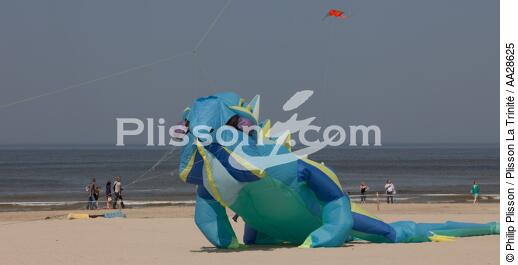 International Meetings of kites in Berck sur Mer [AT] - © Philip Plisson / Plisson La Trinité / AA28625 - Photo Galleries - Town [62]
