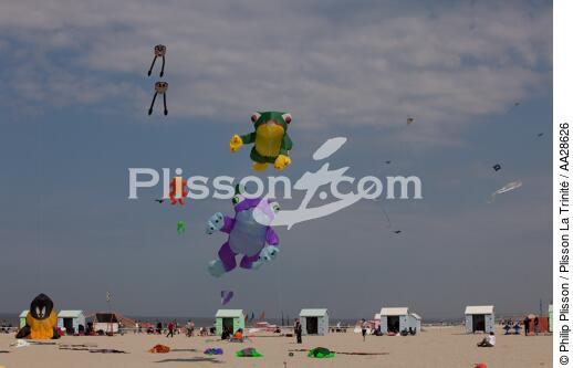 International Meetings of kites in Berck sur Mer [AT] - © Philip Plisson / Plisson La Trinité / AA28626 - Photo Galleries - International Meeting of Kite in Berck-sur-Mer.