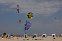 International Meetings of kites in Berck sur Mer [AT] © Philip Plisson / Plisson La Trinité / AA28626 - Photo Galleries - Sport and Leisure