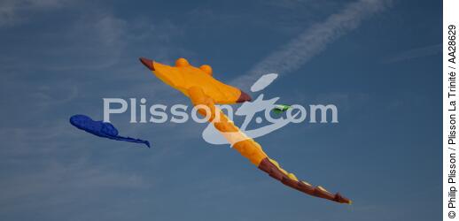 Rencontres Internationales de cerfs-volants à Berck sur Mer - © Philip Plisson / Plisson La Trinité / AA28629 - Nos reportages photos - Pas de Calais