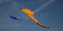 International Meetings of kites in Berck sur Mer [AT] © Philip Plisson / Plisson La Trinité / AA28629 - Photo Galleries - Pas de Calais