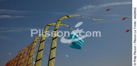 International Meetings of kites in Berck sur Mer [AT] - © Philip Plisson / Plisson La Trinité / AA28632 - Photo Galleries - International Meeting of Kite in Berck-sur-Mer.