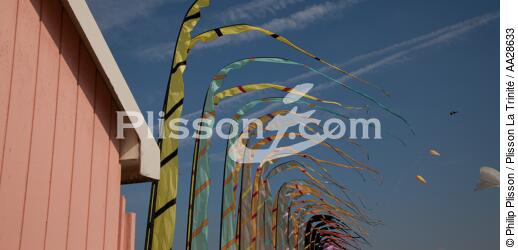 International Meetings of kites in Berck sur Mer [AT] - © Philip Plisson / Plisson La Trinité / AA28633 - Photo Galleries - Kite