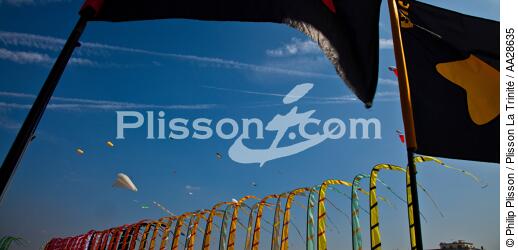 Rencontres Internationales de cerfs-volants à Berck sur Mer - © Philip Plisson / Plisson La Trinité / AA28635 - Nos reportages photos - Pas de Calais