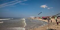 International Meetings of kites in Berck sur Mer [AT] © Philip Plisson / Plisson La Trinité / AA28638 - Photo Galleries - Sport and Leisure