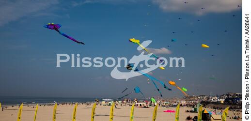 International Meetings of kites in Berck sur Mer [AT] - © Philip Plisson / Plisson La Trinité / AA28641 - Photo Galleries - Nord-Pas-de-Calais