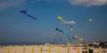 International Meetings of kites in Berck sur Mer [AT] © Philip Plisson / Plisson La Trinité / AA28641 - Photo Galleries - Pas de Calais