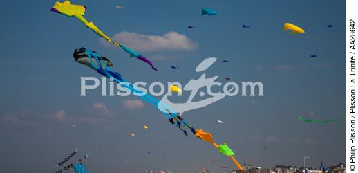 International Meetings of kites in Berck sur Mer [AT] - © Philip Plisson / Plisson La Trinité / AA28642 - Photo Galleries - Kite