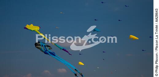 International Meetings of kites in Berck sur Mer [AT] - © Philip Plisson / Plisson La Trinité / AA28643 - Photo Galleries - Berck