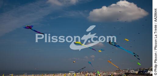 International Meetings of kites in Berck sur Mer [AT] - © Philip Plisson / Plisson La Trinité / AA28644 - Photo Galleries - Kite