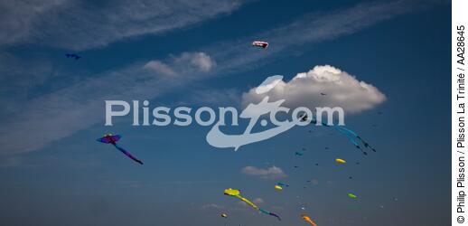 International Meetings of kites in Berck sur Mer [AT] - © Philip Plisson / Plisson La Trinité / AA28645 - Photo Galleries - Nord-Pas-de-Calais