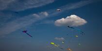 International Meetings of kites in Berck sur Mer [AT] © Philip Plisson / Plisson La Trinité / AA28645 - Photo Galleries - International Meeting of Kite in Berck-sur-Mer.