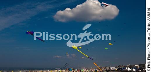 Rencontres Internationales de cerfs-volants à Berck sur Mer - © Philip Plisson / Plisson La Trinité / AA28646 - Nos reportages photos - Pas de Calais