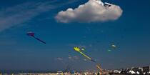 International Meetings of kites in Berck sur Mer [AT] © Philip Plisson / Plisson La Trinité / AA28646 - Photo Galleries - Sport and Leisure