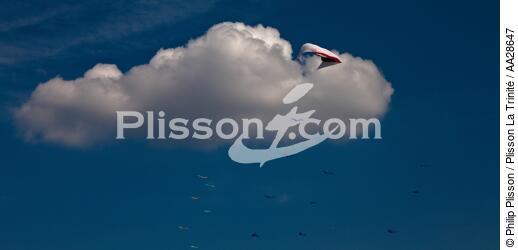 International Meetings of kites in Berck sur Mer [AT] - © Philip Plisson / Plisson La Trinité / AA28647 - Photo Galleries - Town [62]