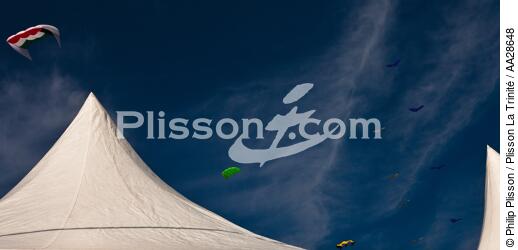 International Meetings of kites in Berck sur Mer [AT] - © Philip Plisson / Plisson La Trinité / AA28648 - Photo Galleries - Kite