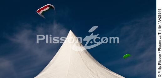 International Meetings of kites in Berck sur Mer [AT] - © Philip Plisson / Plisson La Trinité / AA28649 - Photo Galleries - Kite