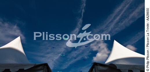 International Meetings of kites in Berck sur Mer [AT] - © Philip Plisson / Plisson La Trinité / AA28650 - Photo Galleries - Pas de Calais