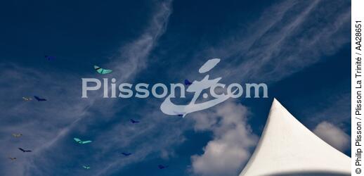 International Meetings of kites in Berck sur Mer [AT] - © Philip Plisson / Plisson La Trinité / AA28651 - Photo Galleries - Nord-Pas-de-Calais