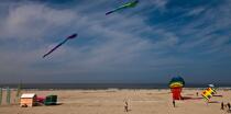 International Meetings of kites in Berck sur Mer [AT] © Philip Plisson / Plisson La Trinité / AA28652 - Photo Galleries - Sport and Leisure