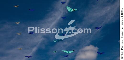 International Meetings of kites in Berck sur Mer [AT] - © Philip Plisson / Plisson La Trinité / AA28653 - Photo Galleries - Pas de Calais
