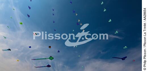 International Meetings of kites in Berck sur Mer [AT] - © Philip Plisson / Plisson La Trinité / AA28654 - Photo Galleries - Framing