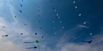 International Meetings of kites in Berck sur Mer [AT] © Philip Plisson / Plisson La Trinité / AA28654 - Photo Galleries - International Meeting of Kite in Berck-sur-Mer.