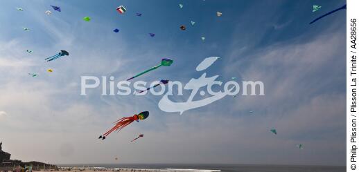 International Meetings of kites in Berck sur Mer [AT] - © Philip Plisson / Plisson La Trinité / AA28656 - Photo Galleries - Kite