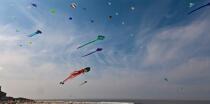 International Meetings of kites in Berck sur Mer [AT] © Philip Plisson / Plisson La Trinité / AA28656 - Photo Galleries - International Meeting of Kite in Berck-sur-Mer.
